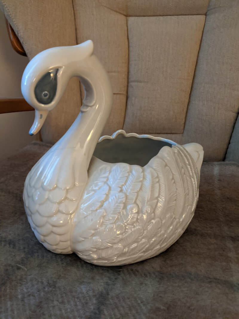 Swan